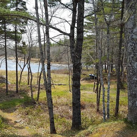 Roseway River Cottages Shelburne Exteriör bild
