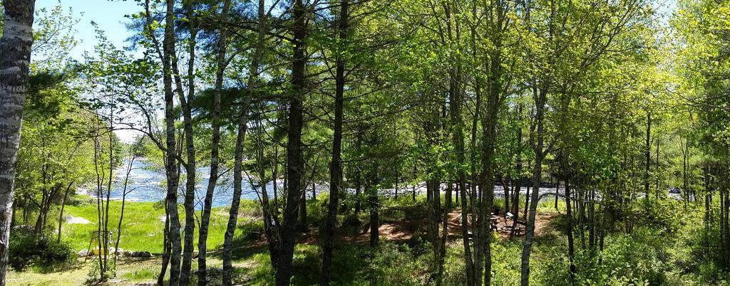 Roseway River Cottages Shelburne Exteriör bild