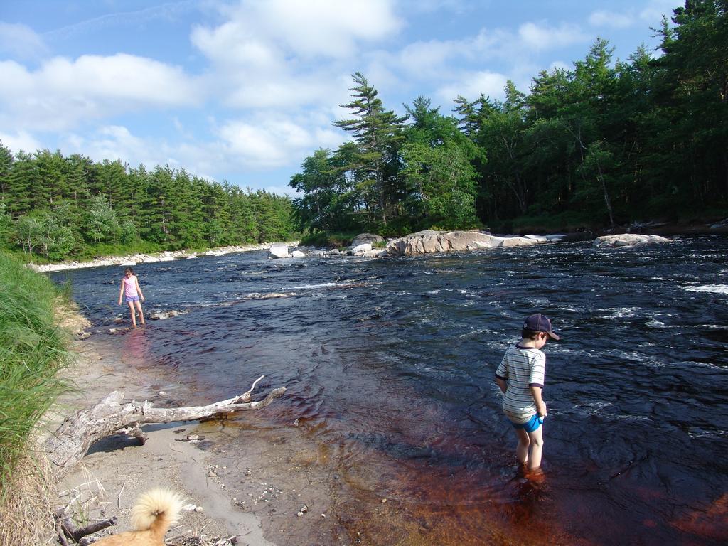 Roseway River Cottages Shelburne Exteriör bild