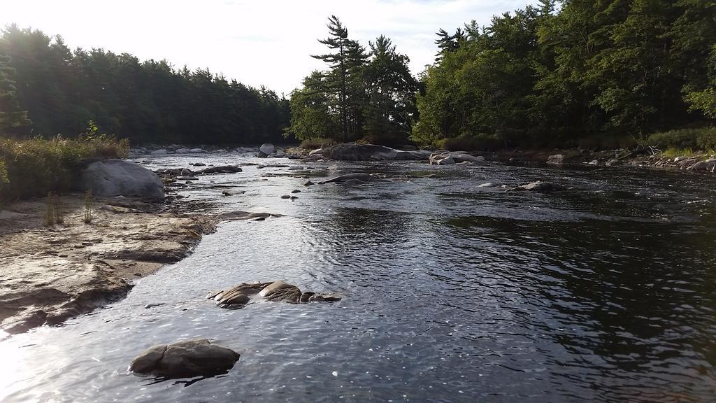 Roseway River Cottages Shelburne Exteriör bild