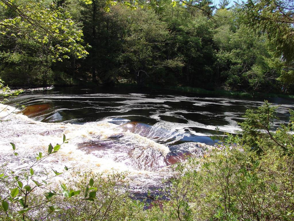 Roseway River Cottages Shelburne Exteriör bild