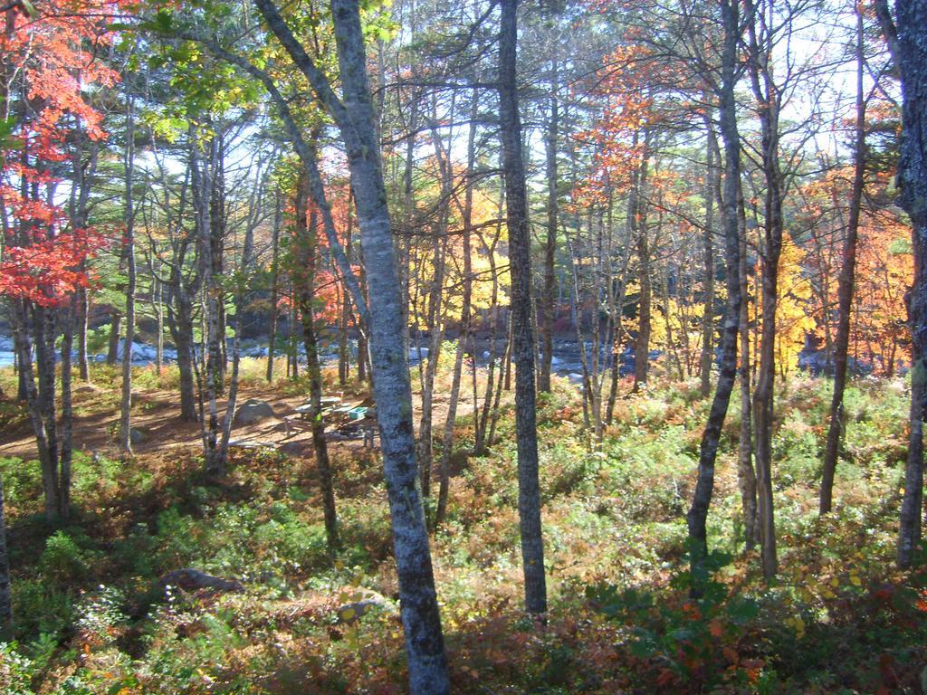 Roseway River Cottages Shelburne Exteriör bild