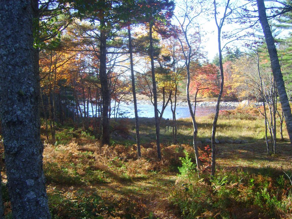Roseway River Cottages Shelburne Exteriör bild