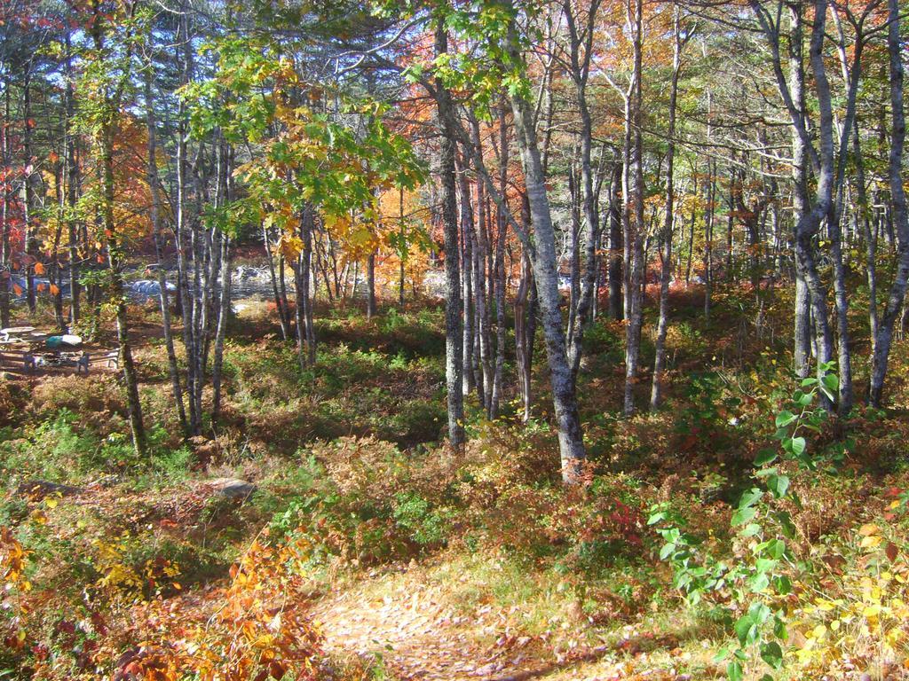 Roseway River Cottages Shelburne Exteriör bild