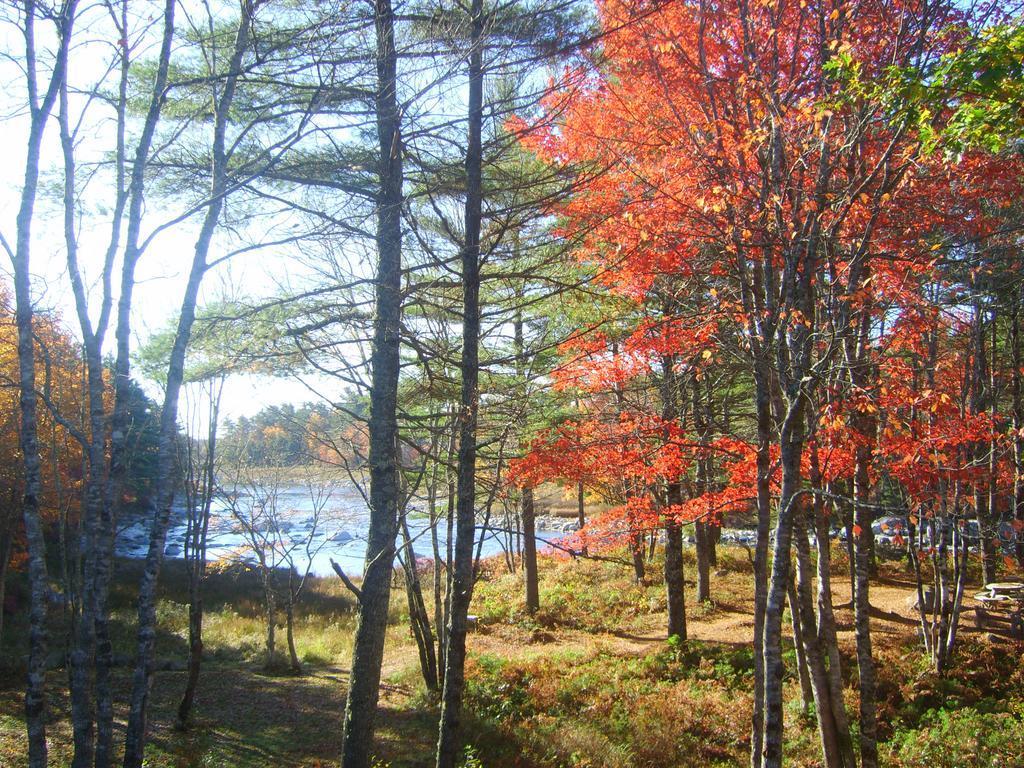 Roseway River Cottages Shelburne Exteriör bild