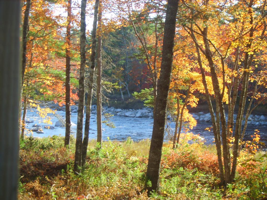 Roseway River Cottages Shelburne Exteriör bild