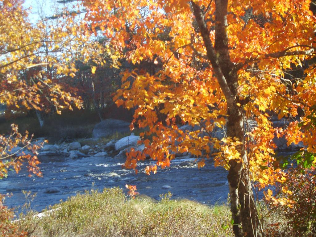 Roseway River Cottages Shelburne Exteriör bild