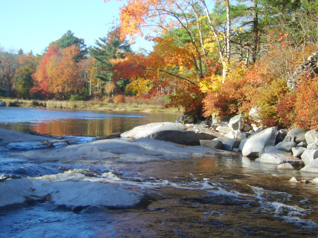 Roseway River Cottages Shelburne Exteriör bild