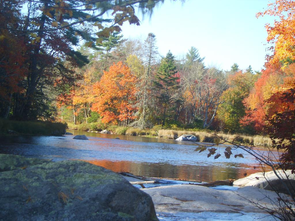 Roseway River Cottages Shelburne Exteriör bild