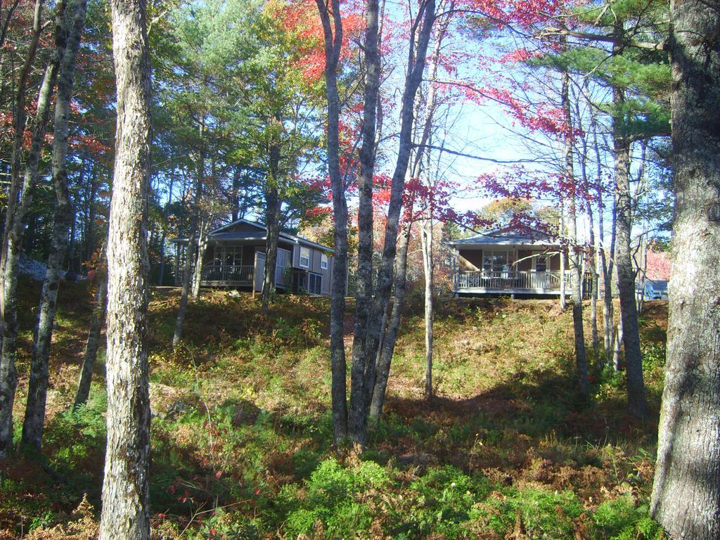 Roseway River Cottages Shelburne Exteriör bild