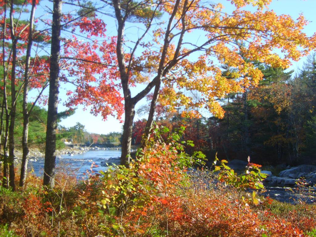 Roseway River Cottages Shelburne Exteriör bild