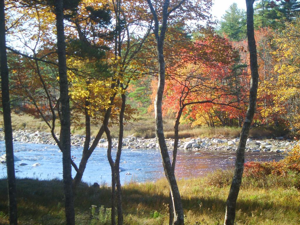 Roseway River Cottages Shelburne Exteriör bild