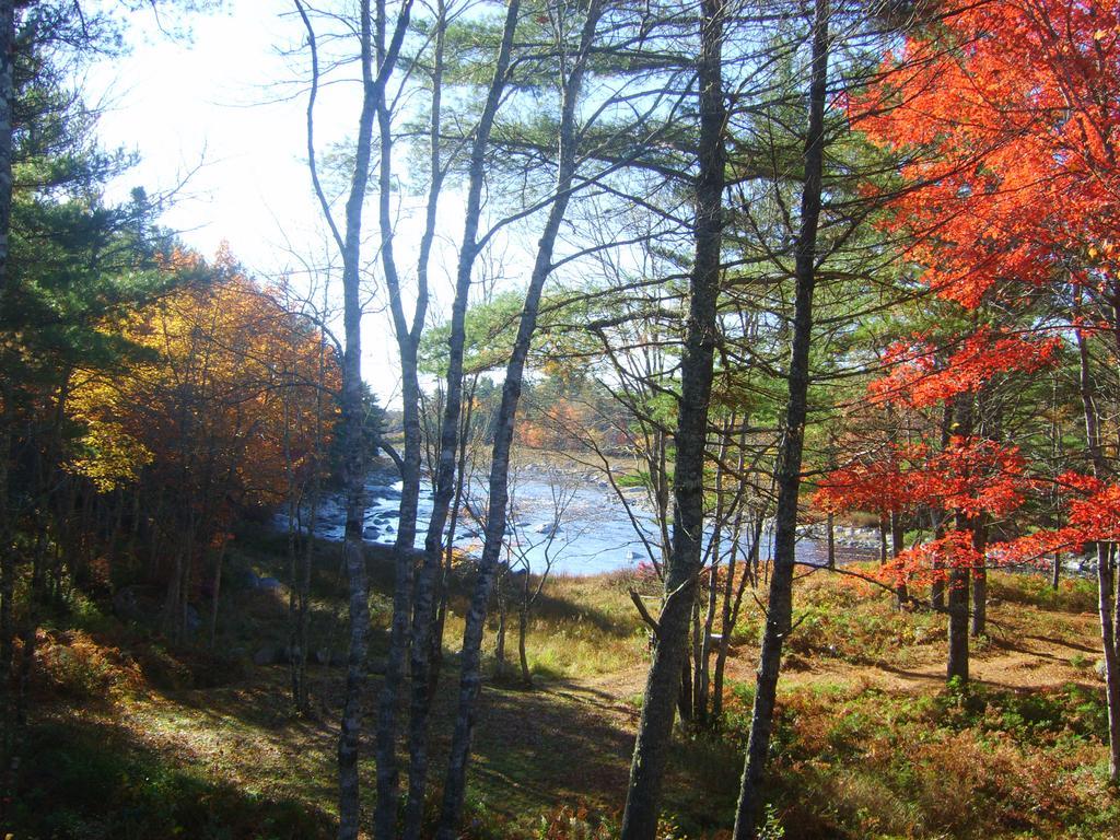 Roseway River Cottages Shelburne Exteriör bild