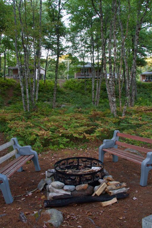 Roseway River Cottages Shelburne Exteriör bild